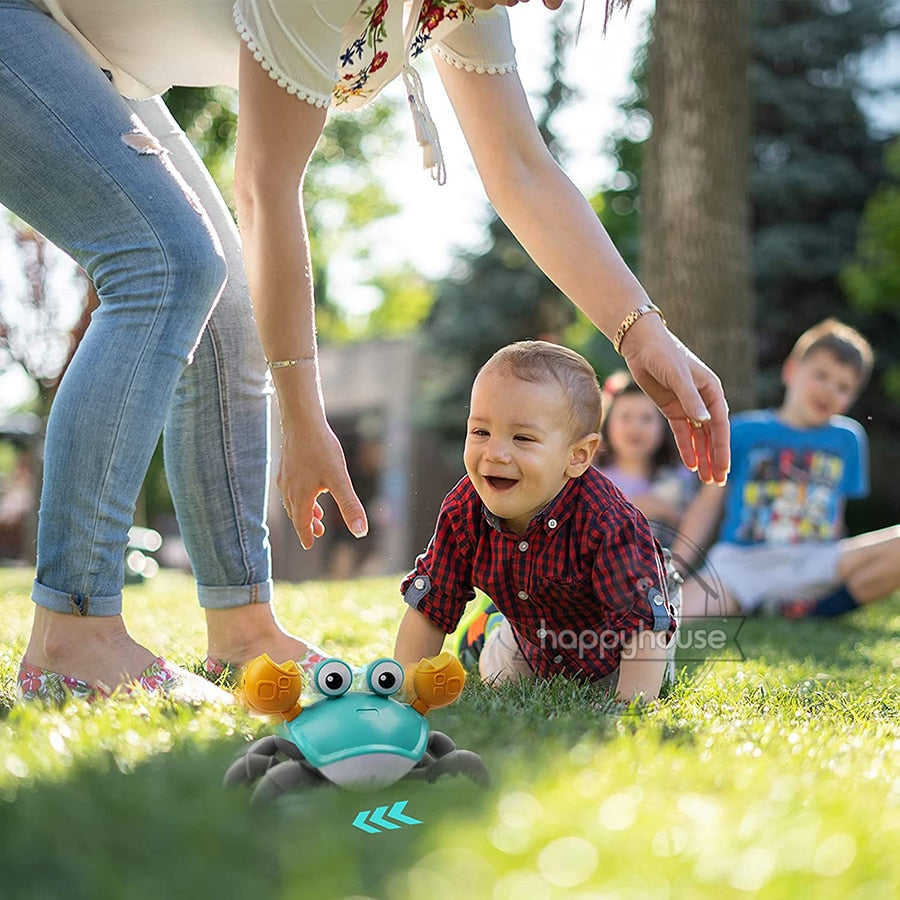 Brinquedo  Caranguejo e Polvo  para Bebê, Brinquedos Musicais - Luxo Premium