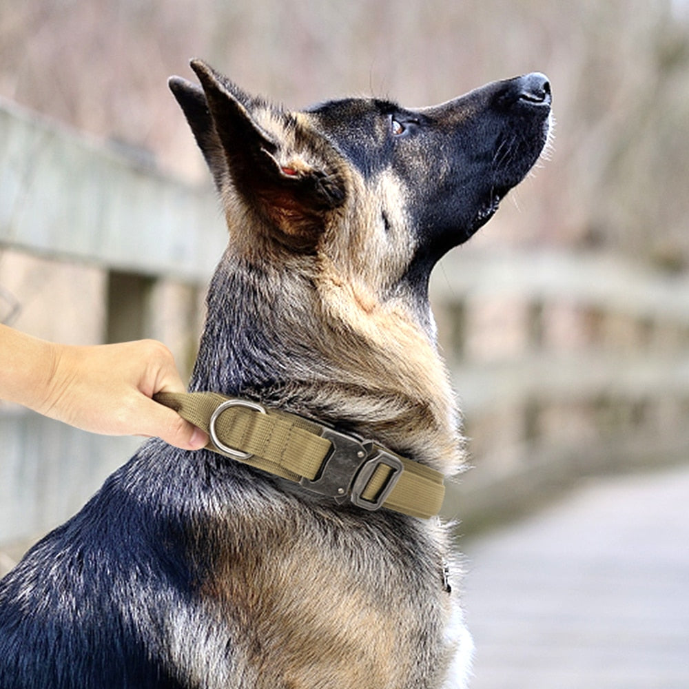 Coleira de Cachorro Tático Militar - Luxo Premium