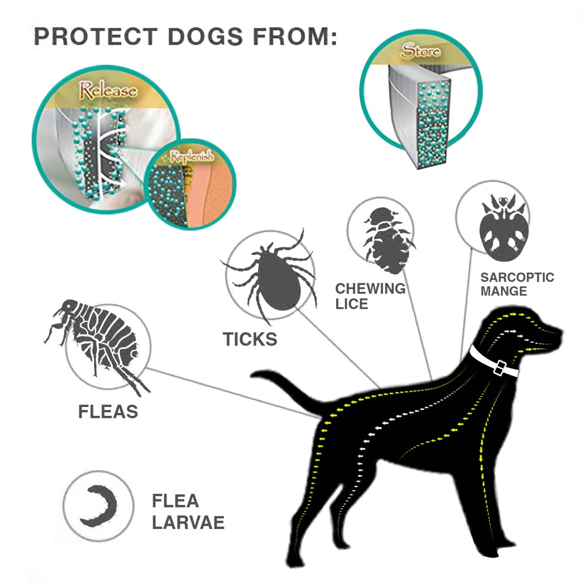 Coleira de Prevenção para cães e gatos, anti- pulgas e anti- carrapatos- Luxo Premium